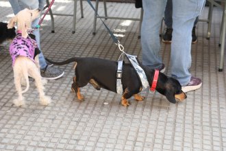 WhatsApp Image 2025-09-25 at 11.05.47.jpeg